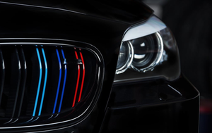 5 Series F10 M5 Grill (2011-2018)